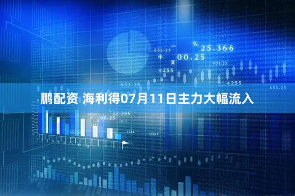 鹏配资 海利得07月11日主力大幅流入