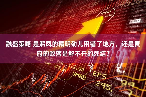融盛策略 是熙凤的精明劲儿用错了地方，还是贾府的败落是解不开的死结？