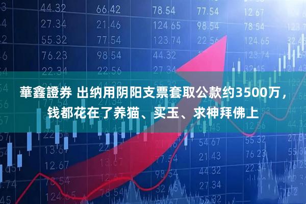 華鑫證券 出纳用阴阳支票套取公款约3500万，钱都花在了养猫、买玉、求神拜佛上