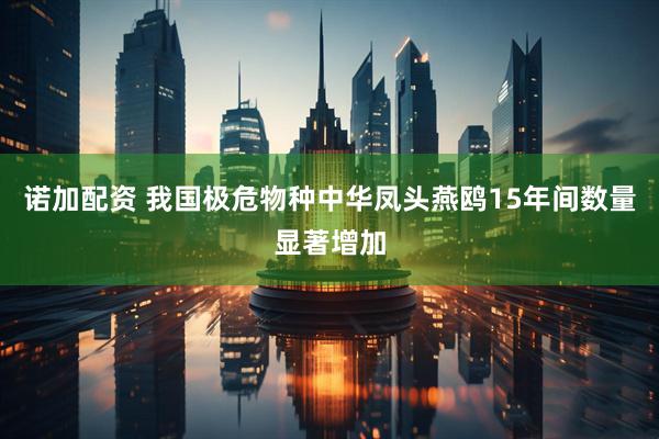 诺加配资 我国极危物种中华凤头燕鸥15年间数量显著增加